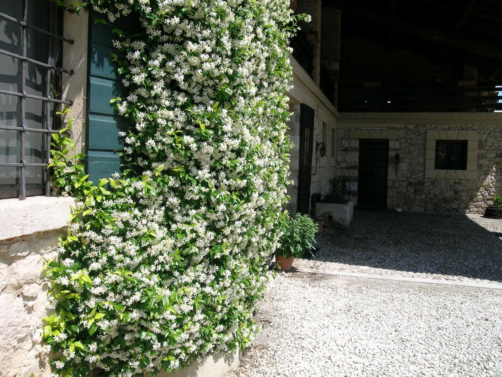 I Costanti Vila Caldiero Exterior foto